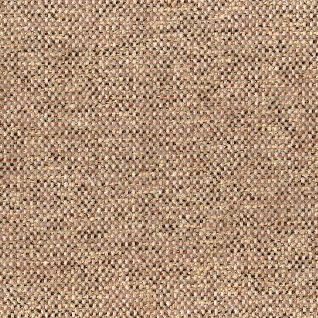 Zuma Tierra